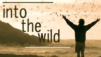 Into The Wild || Tribute